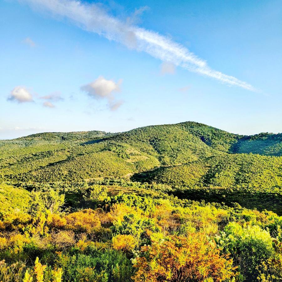 Villa Sunbeach Roquebrune-sur-Argens Eksteriør bilde